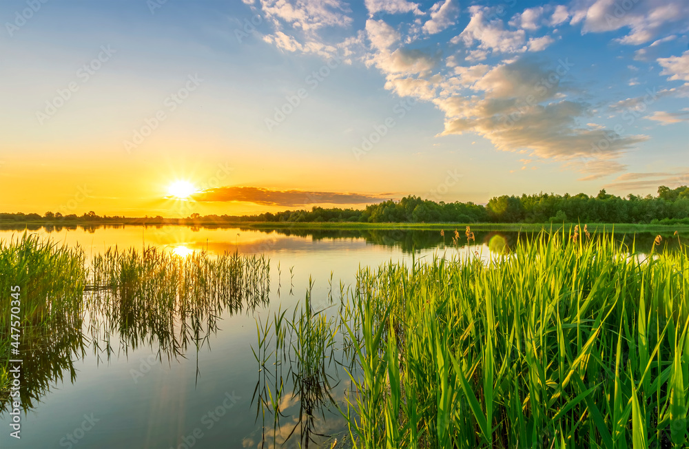 Scenic view at beautiful sunset with reflection on a shiny lake with green reeds, grass, golden sun rays, calm water ,deep blue cloudy sky and glow on a background, spring evening landscape Scenic view at beautiful sunset with reflection on a shiny lake with green reeds, grass, golden sun rays, calm water ,deep blue cloudy sky and glow on a background, spring evening landscape
