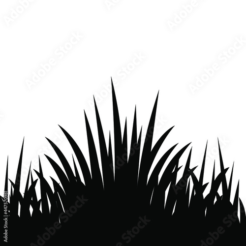 Black grass background. Vector illustration.