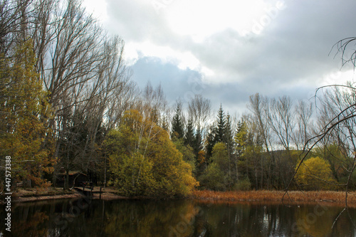 jetty on a lake surrounded by green trees
