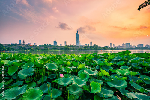 Nanjing City at Sunset in Summer