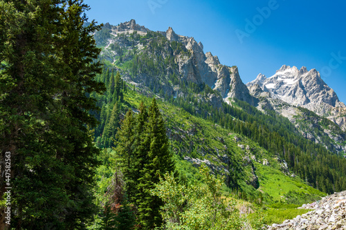Cascade Canyon Trail in The Grand Tetons