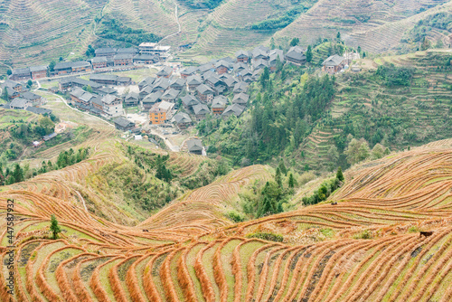 Autumn day view of Rice Terraces near Guilin, Guangxi. photo