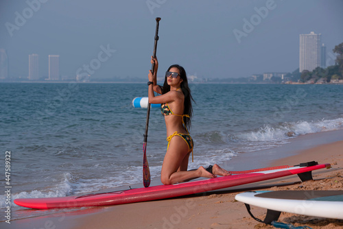 Young sexy woman surfer sitting on her sup board preparing before start play in the sea