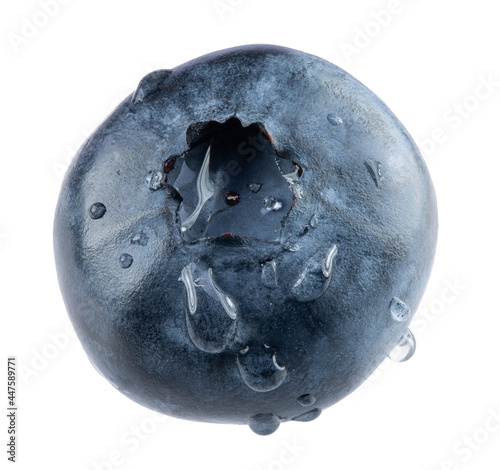 blueberry isolated on a white background