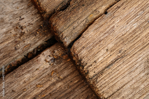 old decay wood background