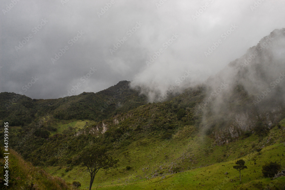 colombian andean forest mountain landscape at foggy day