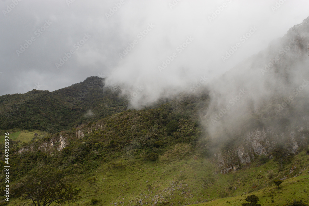 fog downs across andean forest mountains at colombian countryside