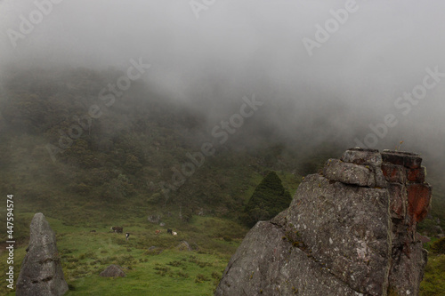 The top of three ancient monoliths viewed from the top of a small peak with green countryside a small cattle and colombian andean fog mountains at background