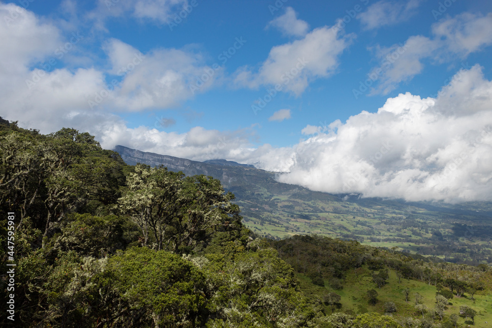 Colombian andean high forest with countryside valley and andean mountain range at background with cloudy blue sky in the morning