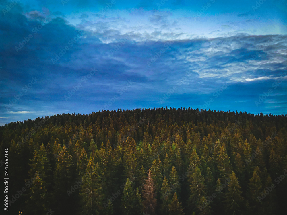 clouds over the forest