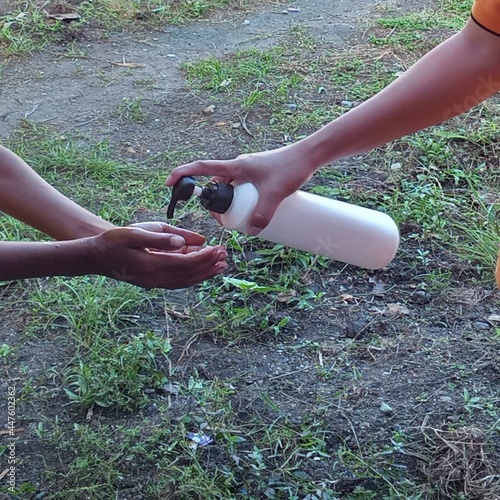 hand holding a tree