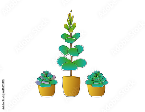 3 illustrated tropical plants in pots.