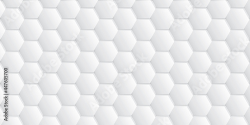 Fototapeta Naklejka Na Ścianę i Meble -  Abstract  white and gray color, modern design background with geometric hexagonal shape. Vector illustration.