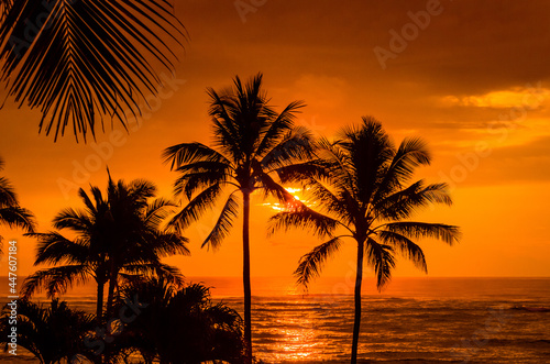 Sunset in Hawaii