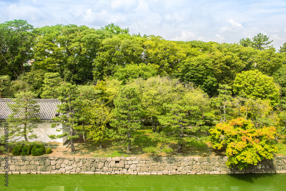 Pine and maple trees in Nijo Castle Ninomaru palace kyoto Japan.