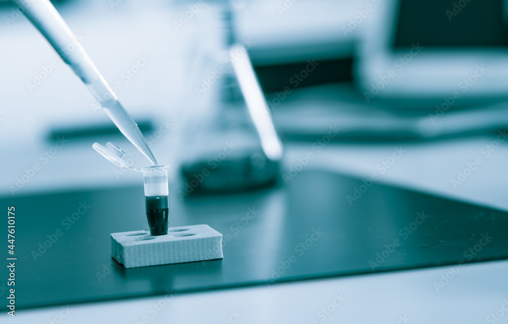 PCR strip test tubes and micropipette in genetics laboratory. Toned photo PCR strip test tubes and micropipette in genetics laboratory. Toned photo