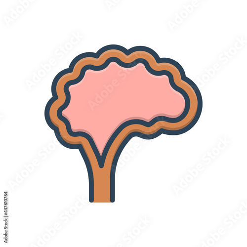 Color illustration icon for brain