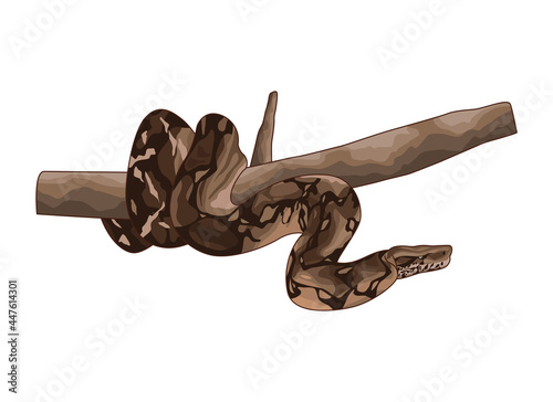 Cute and realistic snake