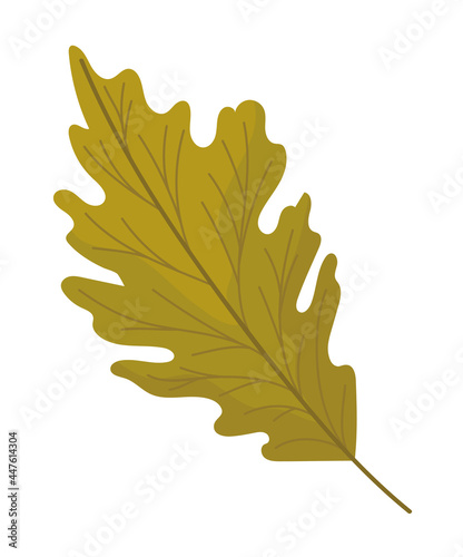 autumn leaf design photo