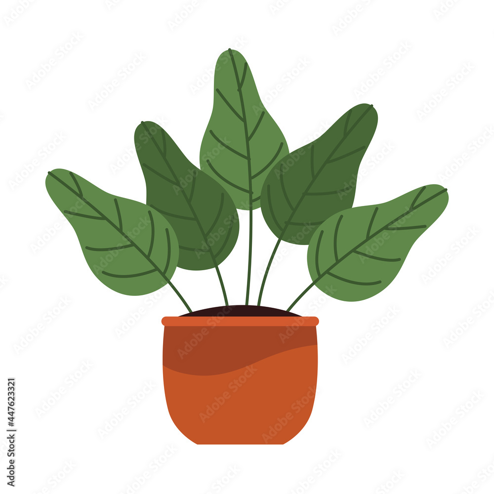 Fototapeta premium houseplant in orange pot