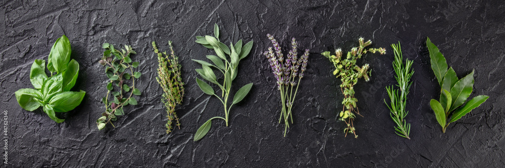 Naklejka premium Fresh aromatic herbs, overhead flat lay panorama on a black background. Bunches of rosemary, basil, thyme, lavender, and various other culinary plants