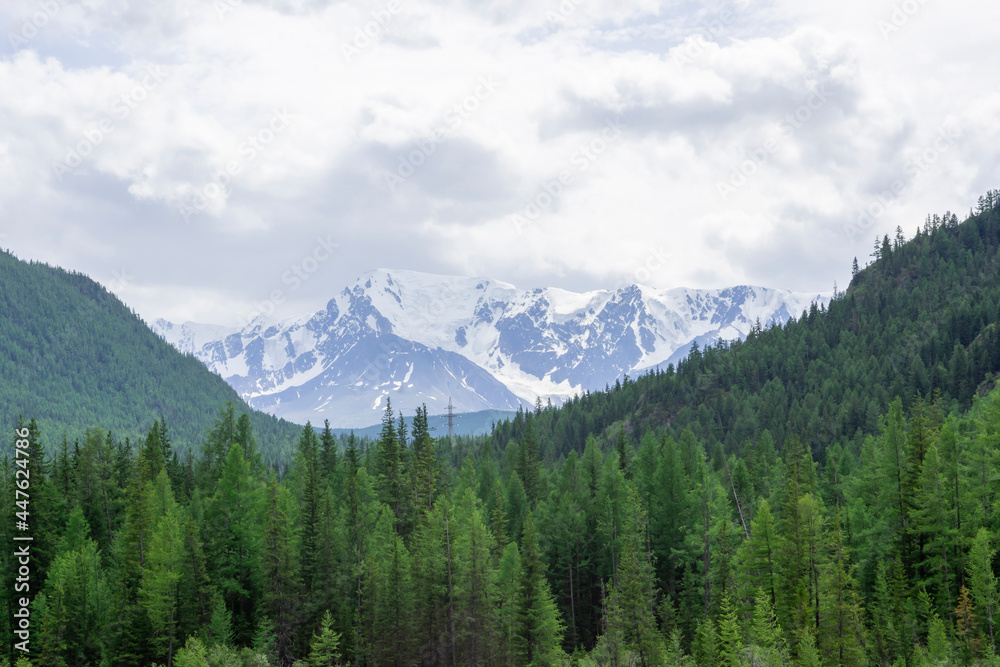 snowy peaks surrounded by mountains covered with green forest snowy peaks surrounded by mountains covered with green forest