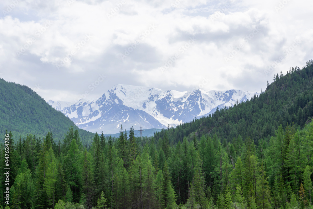 snowy peaks surrounded by mountains covered with green forest