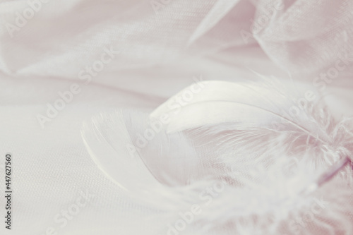Gray draped tulle with feat...