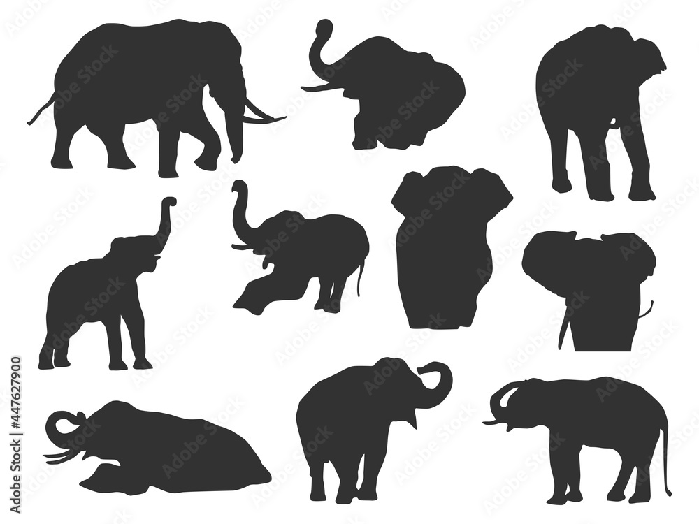 Set vector of the elephant, The shadow of different poses isolated on white background.