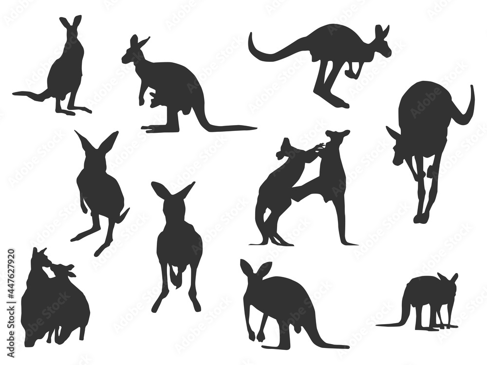 Set vector of the Kangaroo, The shadow of different poses isolated on white background.