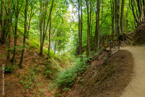 Obraz na płótnie Gorge