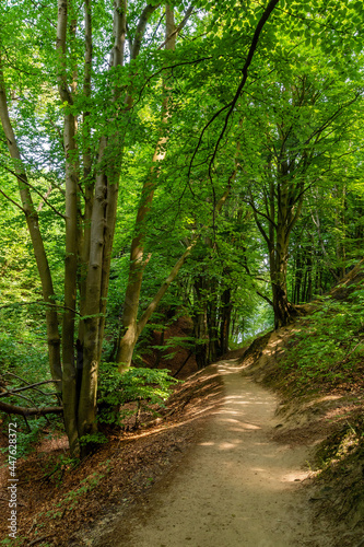 Gorge "Lisi Jar" in Jastrzebia Gora (Poland)