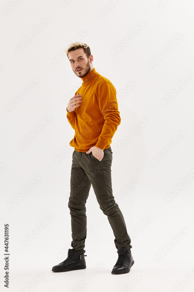 bearded man in sweater hand in pocket posing clothes studio bearded man in sweater hand in pocket posing clothes studio