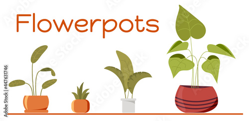 Flowerpots, flowers in pots, home flowers, a set of plants. Stock vector illustration isolated on white background.