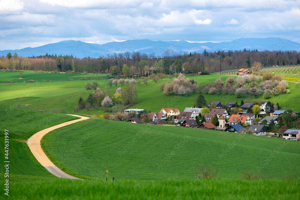 Switzerland, Canton Basel Country,Olsberg, surrounding of Arisdorf, landscape