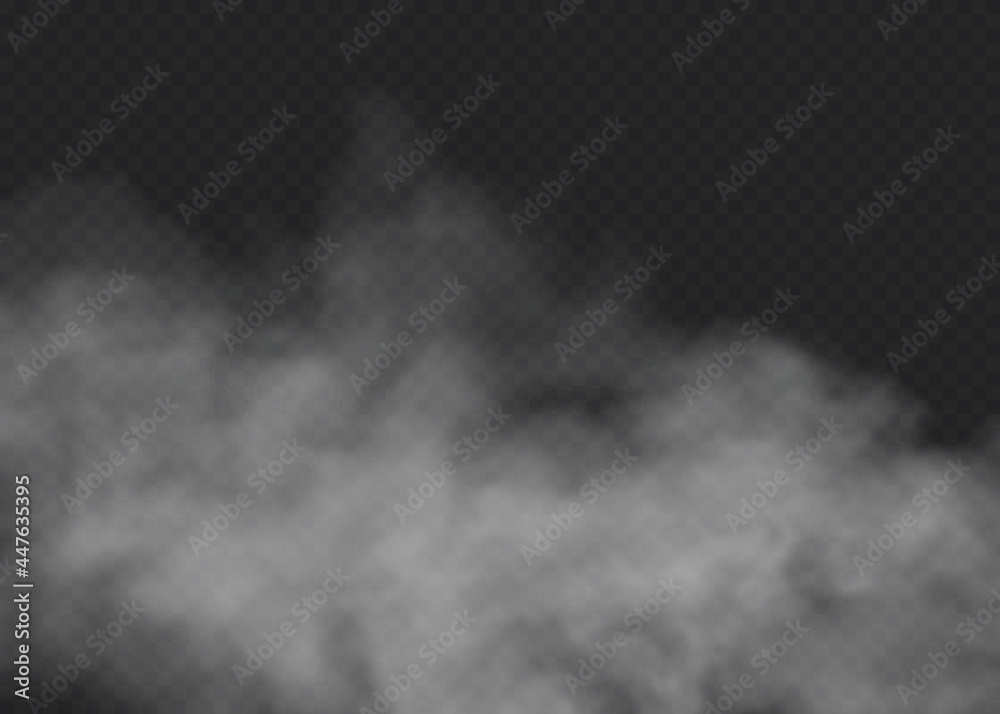 Fototapeta premium Fog or smoke isolated transparent special effect. White vector cloudiness, mist or smog background. Vector illustration