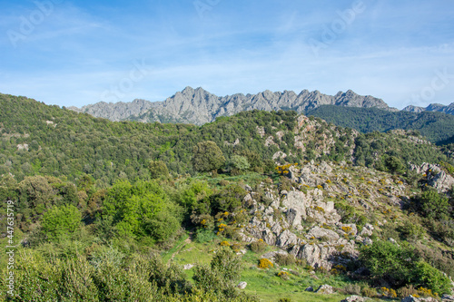 discovery of the island of beauty in southern Corsica, France photo