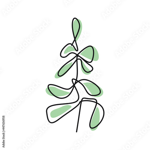 Vector illustration of floral eucalyptus in line art style.