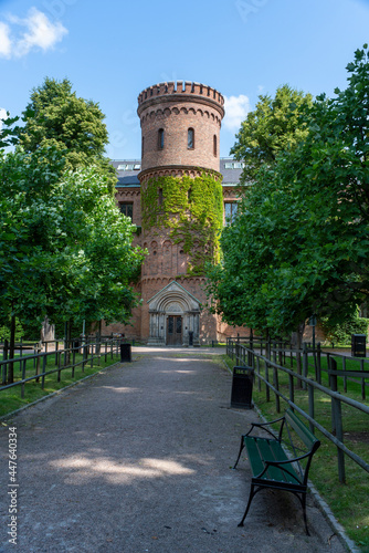 Medieval building Kings house overgrown in the park Lundagard in city central Lund, Sweden photo