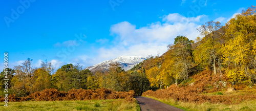Glen Strathfarrar in Autumn. A panoramic view of the Glen with single track road, blue sky, snow topped munro. golden leaves and bracken. Scottish Highlands, UK. Space for copy.
