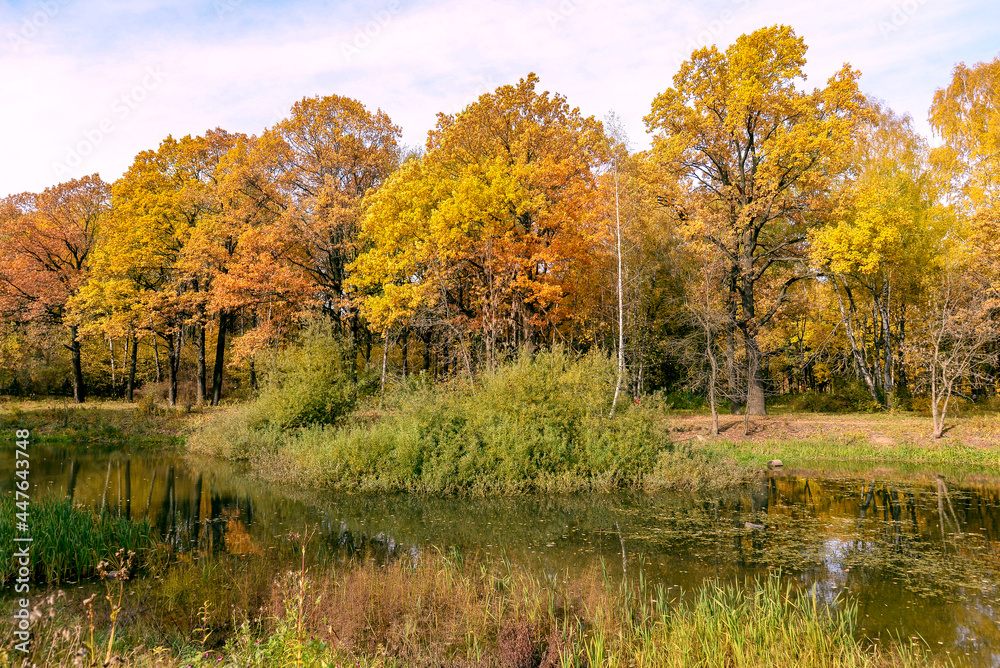 autumn landscape with trees and lake