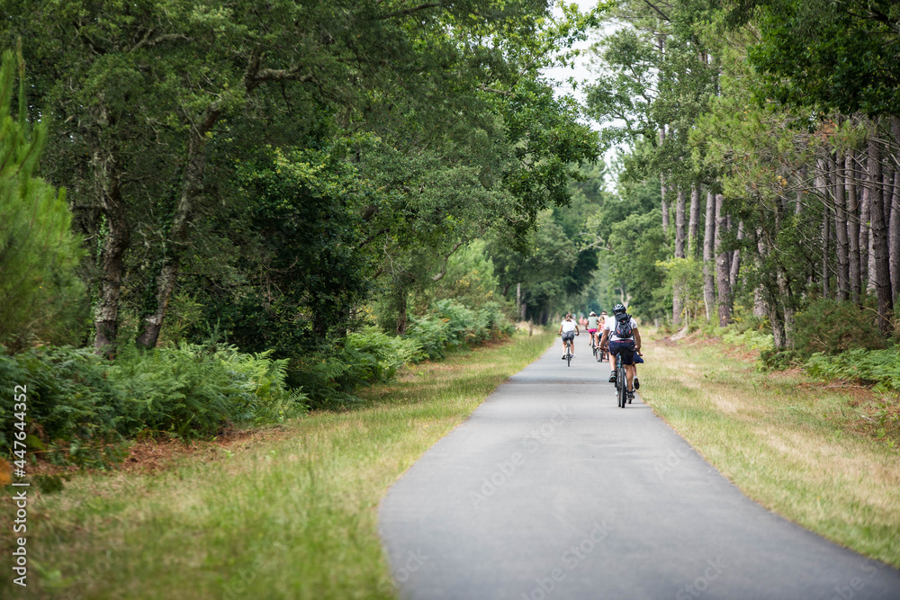 cyclists cycling on the cycle path crossing the forest