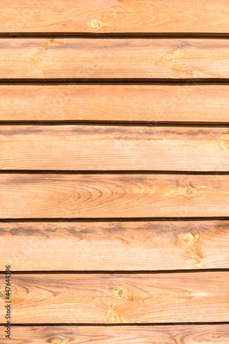 wood texture, background from wood, wooden fence, background from boards