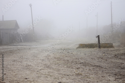 fog trees invisible forest autumn