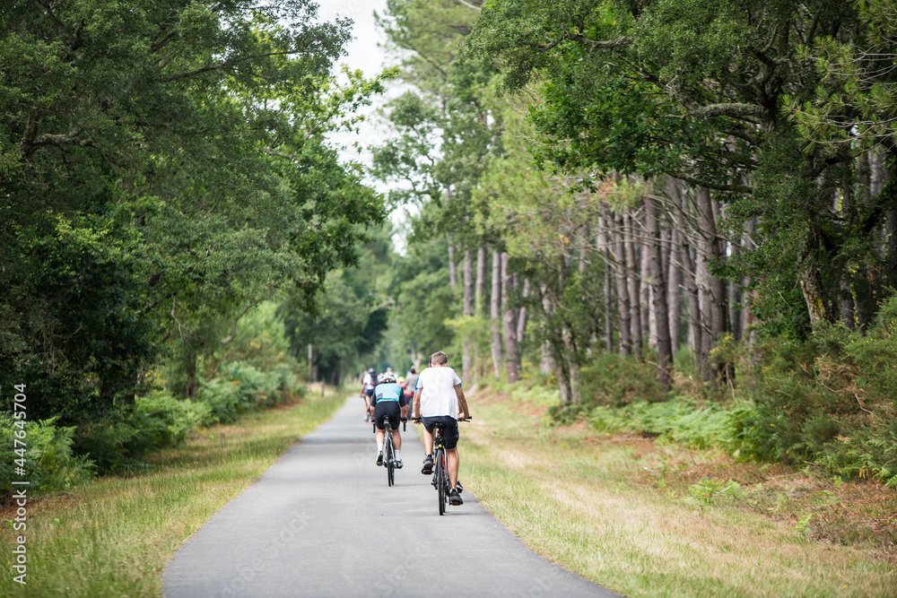 cyclists cycling on the cycle path crossing the forest
