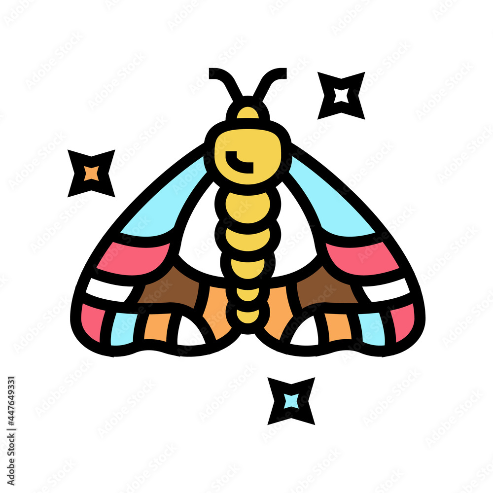 insect boho color icon vector. insect boho sign. isolated symbol illustration