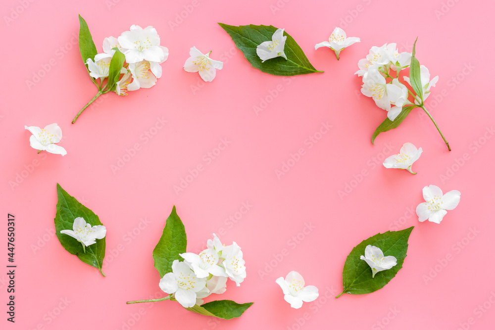 Summer flowers - jasmine with green leaves, top view