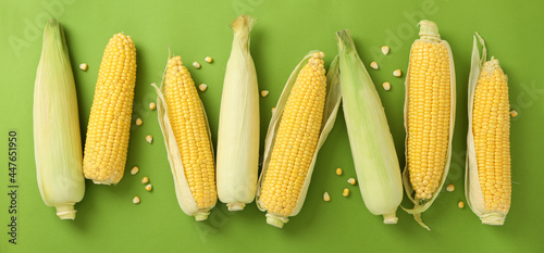 Fresh raw corn on green background, top view
