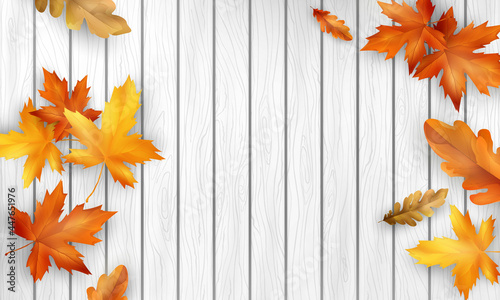 Autumn sale falling leaves background nature