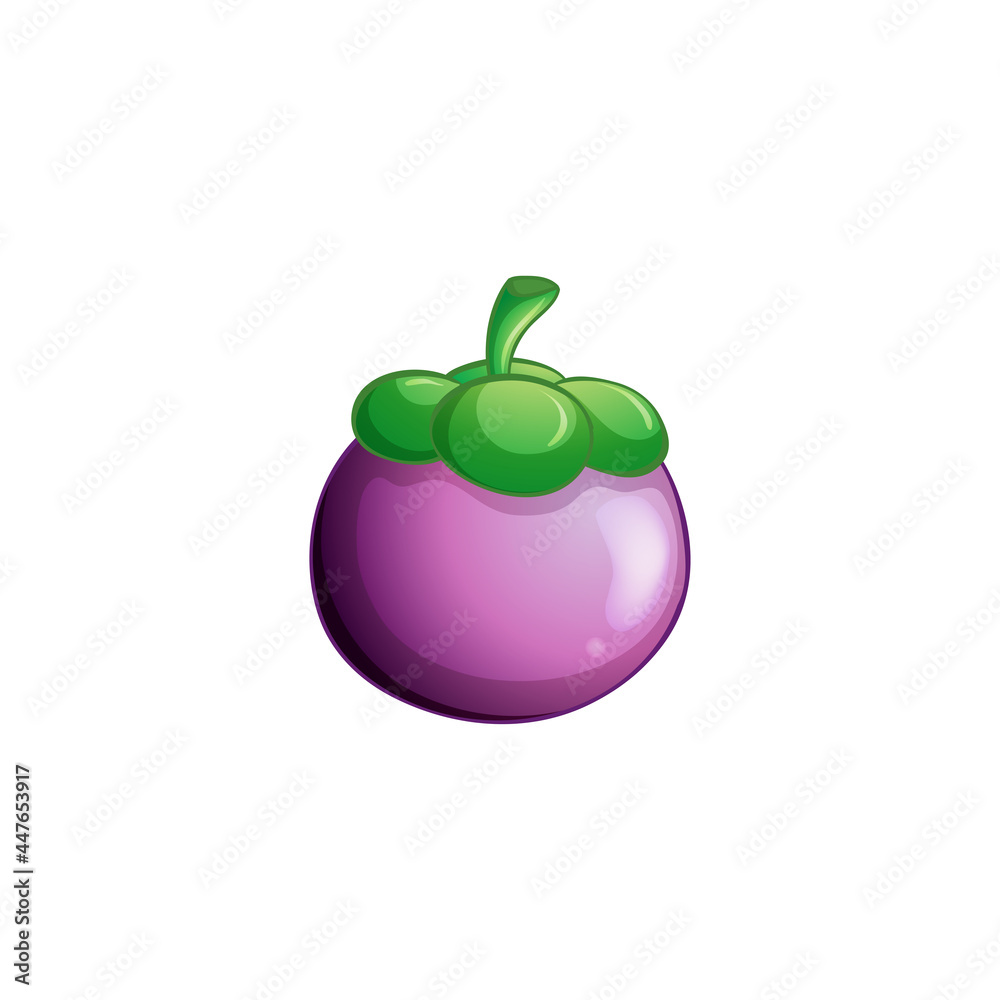 purple mangosteen fruit(Garcinia mangostana) isolated on a white background purple mangosteen fruit(Garcinia mangostana) isolated on a white background